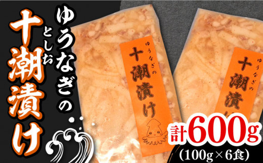 ゆうなぎ の 十潮(としお)漬け《対馬市》【ゆうなぎ対馬】イカ おかず 簡単 惣菜 ご飯に合う 時短調理 冷凍 [WAG023]九州 長崎 対馬 冷凍 ご飯が進む イカ 剣先いか もう1品 ご飯 おかず 漬物