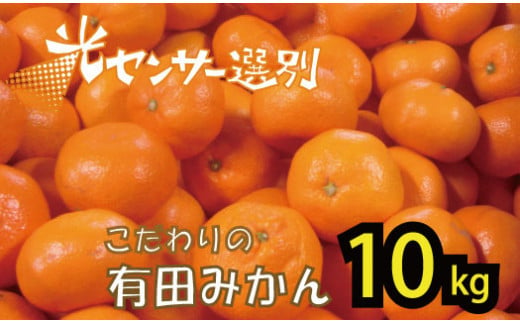 【2024年12月発送予約分】＼光センサー選別／農家直送 こだわりの完熟有田みかん 約10kg＋250g(傷み補償分) 【ご家庭用】【12月発送】 有機質肥料100% 有田みかん みかん ミカン 蜜柑 柑橘 果物 フルーツ 甘い 温州みかん 先行予約【nuk101-2D】