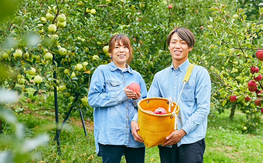 【令和6年産先行予約】 〈訳あり品 家庭用〉 りんご ｢サンふじ｣ 約5kg (13～20玉前後) 《令和6年11月下旬～発送》 『平農園』 リンゴ 果物 フルーツ 産地直送 生産農家直送 山形県 南陽市 [1690]