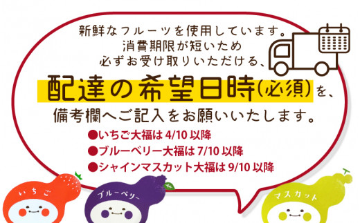 【定期便3回】 和菓子職人がつくるフルーツ大福 （いちご・ブルーベリー・シャインマスカット）各6個入り2箱