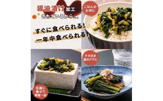 行者にんにく醤油漬120g 3袋セット 北海道 山菜 ヒトビロ アイヌネギ ギョウジャニンニク ご飯のおとも F4F-2220