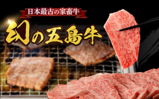 【全3回定期便】五島牛 切り落とし 約500g / 牛肉 和牛 長崎和牛