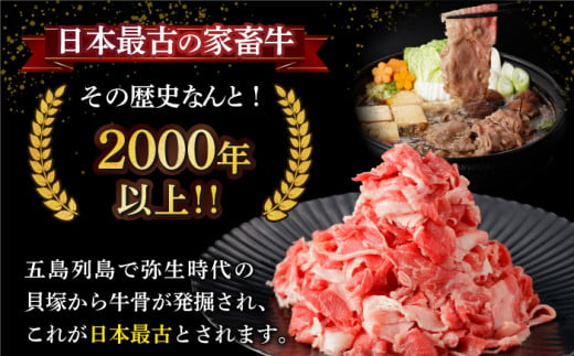 【全3回定期便】【幻の和牛を様々なお料理で！】 五島牛 切り落とし 約500g 3～4人前 小分け 国産 和牛 肉 にく 牛肉 牛 和牛 五島牛 定期便 A4 A5 すき焼き しゃぶしゃぶ 焼肉 カレー 牛丼 長崎和牛 【カミティバリュー】 [RBP076]