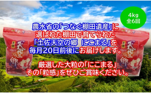 2010年・2016年 お米日本一コンテスト inしずおか 特別最高金賞受賞土佐天空の郷　にこまる 4kg　毎月お届け全6回