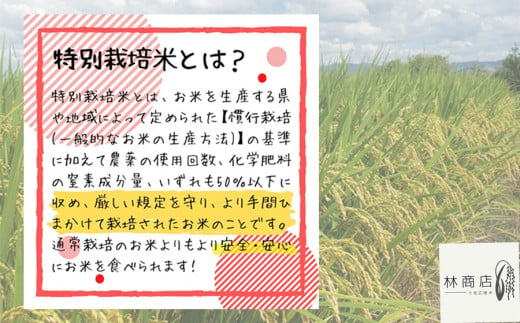 【定期便先行予約】【令和7年 1月～ 6ヶ月定期便】　特別栽培米　奈良県広陵町産ヒノヒカリ　白米5kg×6ヶ月 /// ひのひかり ヒノヒカリ ブランド米 大和米 白米 安心 安全 美味しい 人気 奈良県 広陵町 特別栽培米