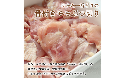 はかた一番どり 水炊き セット(4～5人前) [a9240] 株式会社 ゼロプラス ※配送不可：離島【返礼品】添田町 ふるさと納税