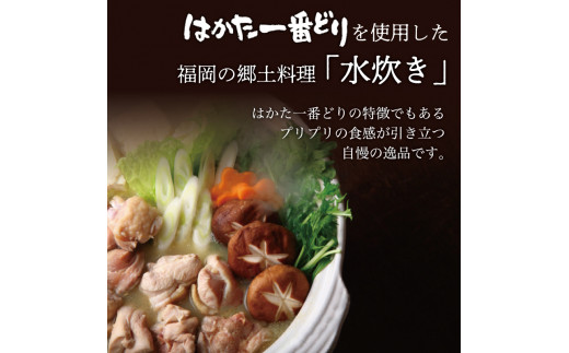 はかた一番どり 水炊き セット(4～5人前) [a9240] 株式会社 ゼロプラス ※配送不可：離島【返礼品】添田町 ふるさと納税