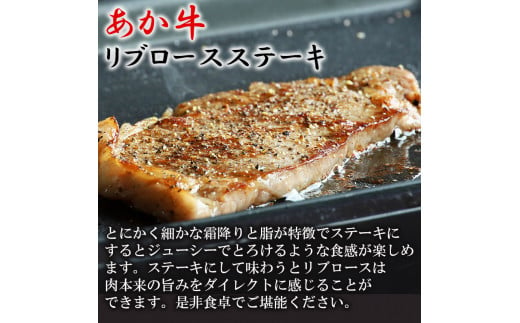 牛肉 あか牛 ステーキ2種 食べ比べ サーロイン 約250g リブロース 約250g | 肉 にく お肉 おにく 牛 和牛 ステーキ セット 熊本県 玉名市