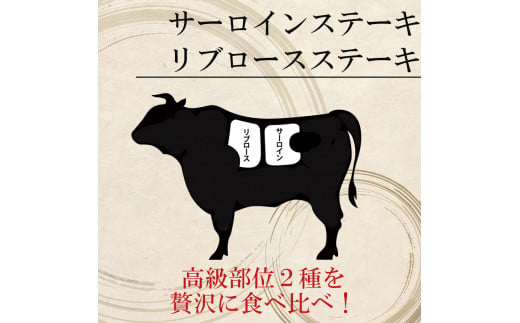 牛肉 あか牛 ステーキ2種 食べ比べ サーロイン 約250g リブロース 約250g | 肉 にく お肉 おにく 牛 和牛 ステーキ セット 熊本県 玉名市