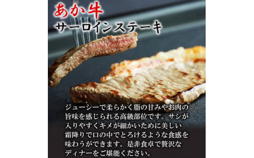 牛肉 あか牛 ステーキ2種 食べ比べ サーロイン 約250g リブロース 約250g | 肉 にく お肉 おにく 牛 和牛 ステーキ セット 熊本県 玉名市