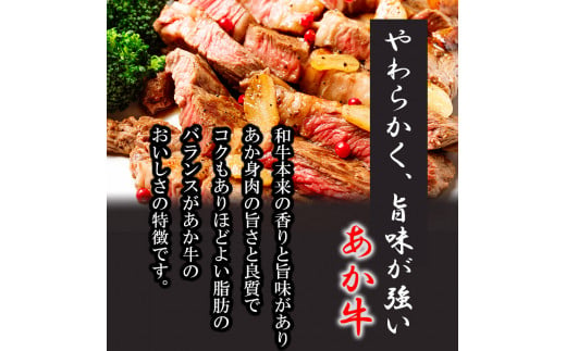 牛肉 あか牛 ステーキ2種 食べ比べ サーロイン 約250g リブロース 約250g | 肉 にく お肉 おにく 牛 和牛 ステーキ セット 熊本県 玉名市