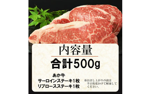 牛肉 あか牛 ステーキ2種 食べ比べ サーロイン 約250g リブロース 約250g | 肉 にく お肉 おにく 牛 和牛 ステーキ セット 熊本県 玉名市