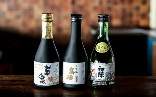 ＜発送月固定定期便＞《地酒飲み比べ》3つの蔵元・飲み比べミニボトル3本セット(奇数月発送)全6回【4004986】