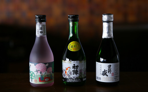 ＜発送月固定定期便＞《地酒飲み比べ》3つの蔵元・飲み比べミニボトル3本セット(奇数月発送)全6回【4004986】