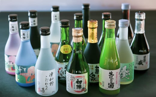 ＜発送月固定定期便＞《地酒飲み比べ》3つの蔵元・飲み比べミニボトル3本セット(奇数月発送)全6回【4004986】