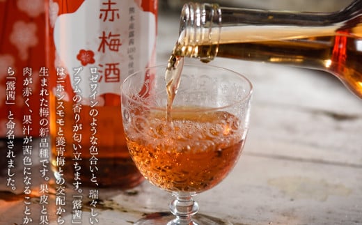 豊永蔵「赤梅酒」(500ml×2本)