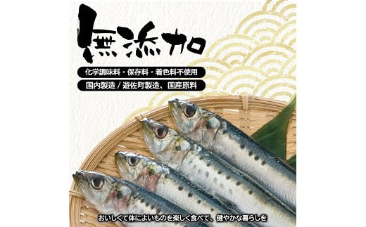 789　つゆもおダシで使えて2度おいしい「国産いわしの水煮」120g×10パック