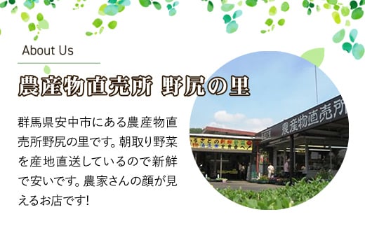 【先行予約】原木しいたけ【500ｇ】 ※数量限定  ANAR004 / しいたけ シイタケ 椎茸  野菜 きのこ キノコ 茸 数量限定 冬の味覚 国産 群馬県産 先行予約