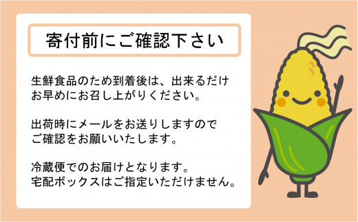 産地直送！新鮮朝採り  ヤングコーン  とうもろこし※離島への配送不可 ※着日指定不可