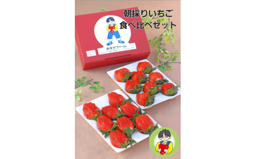 いちご 2種食べ比べ 400g × 2パック｜コク 甘み 朝採れ やよいひめ ななか 恋みのり あまおとめ あすかカルビー 贈答用 新鮮 完熟 いちご 旬 苺 ストロベリー 産地直送 果汁 あまい 人気 高評価 減農薬 美容 健康 旨味 高糖度 ごほうび 群馬県 前橋市 R5-70