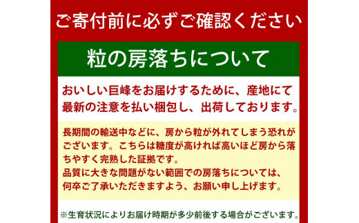 巨峰ぶどう約2kg　紀州和歌山産【2025年8月下旬以降発送予定】【UT88】