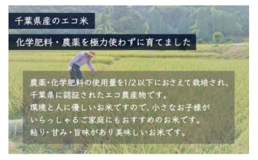 ＜6ヶ月定期便＞千葉県産エコ米「コシヒカリ」5kg×6ヶ月連続 計30kg ふるさと納税 米 定期便 5kg コシヒカリ エコ米 千葉県 大網白里市 送料無料