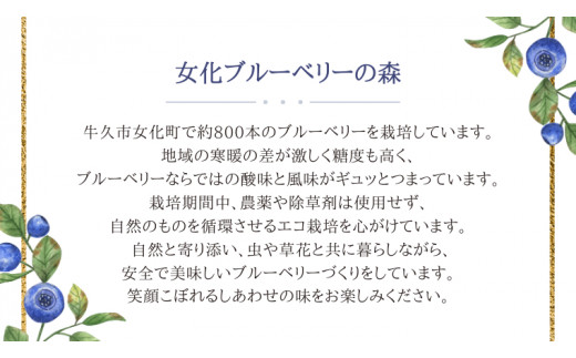 《 先行予約 》完熟 新鮮ブルーベリー 約1kg 【2024年6月下旬頃より発送開始】＜ 産地直送 ＞ ベリー 1kg  1キロ 甘い 甘酸っぱい 冷凍 大粒 おいしい 美味しい フルーツ 果物 くだもの おやつ 無農薬 農薬不使用 お取り寄せ お土産 贈り物 贈答 ギフト 国産 茨城 農園 