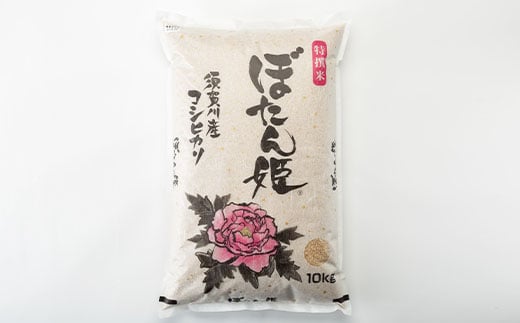 ＜地元ブランド＞令和6年産ぼたん姫玄米　20kg【1061609】