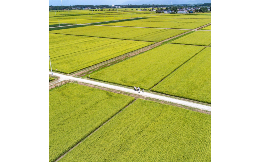 新米 精米 令和6年産 あきた栗山 大谷米 あきたこまち 5kg 秋田県産 あきたこまち オータニファーム