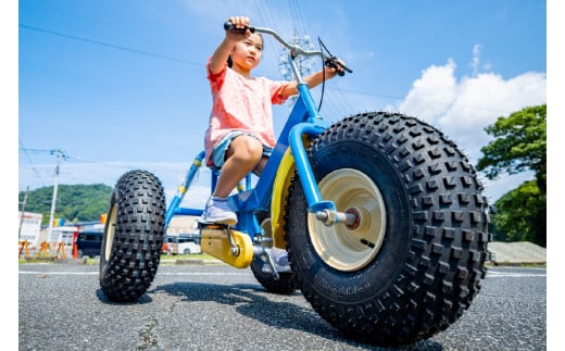 おもしろ自転車 バギーサイクル 【自転車 サイクリング  タイヤ  伊豆 静岡】90-002