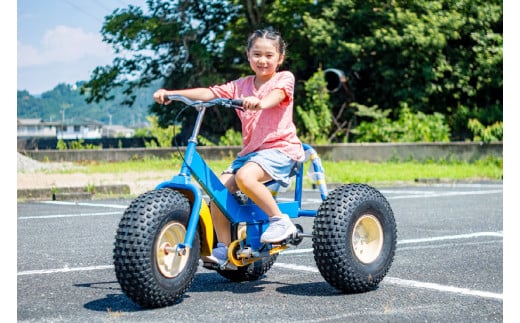 おもしろ自転車 バギーサイクル 【自転車 サイクリング  タイヤ  伊豆 静岡】90-002