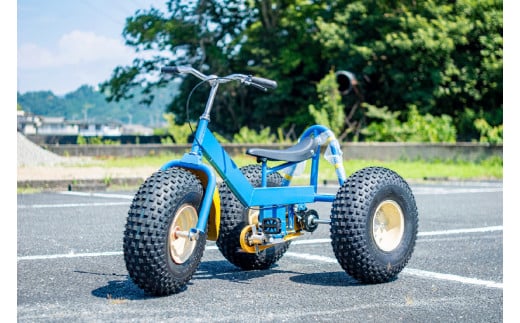 おもしろ自転車 バギーサイクル 【自転車 サイクリング  タイヤ  伊豆 静岡】90-002