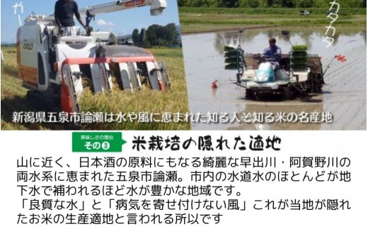 【令和6年産 新米】 〈3回定期便〉 「わくわく農場」の五泉産 精米 コシヒカリ 5kg(5kg×1袋) 新潟県 五泉市 わくわく農場 ［2024年10月中旬以降順次発送］