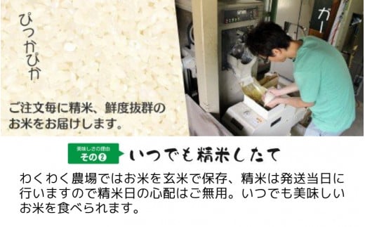 【令和6年産 新米】 〈3回定期便〉 「わくわく農場」の五泉産 精米 コシヒカリ 5kg(5kg×1袋) 新潟県 五泉市 わくわく農場 ［2024年10月中旬以降順次発送］