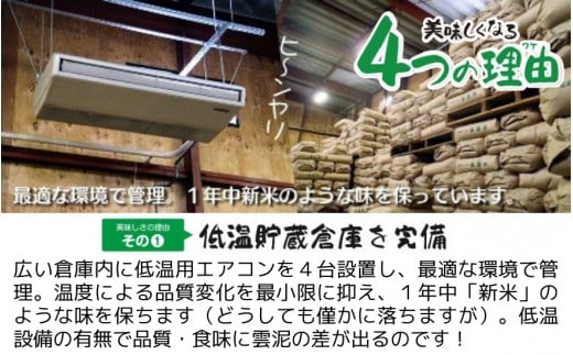 【令和6年産 新米】 〈3回定期便〉 「わくわく農場」の五泉産 精米 コシヒカリ 5kg(5kg×1袋) 新潟県 五泉市 わくわく農場 ［2024年10月中旬以降順次発送］