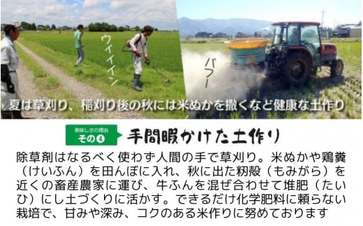 【令和6年産 新米】 〈3回定期便〉 「わくわく農場」の五泉産 精米 コシヒカリ 5kg(5kg×1袋) 新潟県 五泉市 わくわく農場 ［2024年10月中旬以降順次発送］