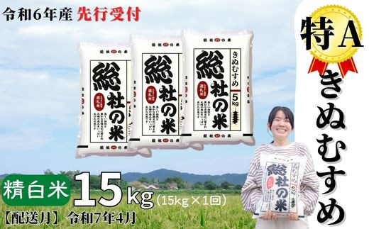 【令和6年産米】特Aきぬむすめ【精白米】15kg 岡山県総社市産〔令和7年4月配送〕24-015-008