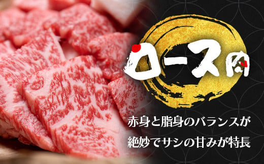 くまもと 黒毛和牛 カルビ・ロース 焼肉 食べ比べ セット