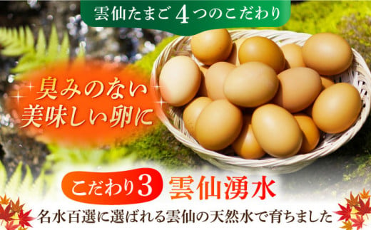 【全3回定期便】雲仙たまご Lサイズ80個(75個＋割れ補償5個入り) 長崎県/塚ちゃん雲仙たまご村 [42ACAE017] 卵 玉子 タマゴ 鶏卵 長崎 島原 九州