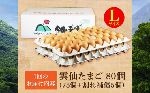 【全3回定期便】雲仙たまご Lサイズ80個(75個＋割れ補償5個入り) 長崎県/塚ちゃん雲仙たまご村 [42ACAE017] 卵 玉子 タマゴ 鶏卵 長崎 島原 九州