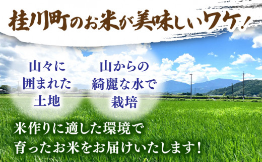 令和6年度産 福岡県桂川町産夢つくし 玄米10kg