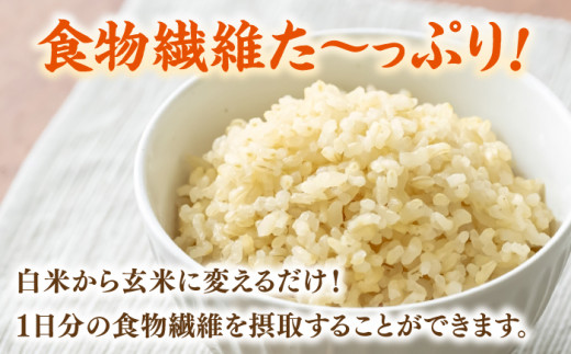 令和6年度産 福岡県桂川町産夢つくし 玄米10kg