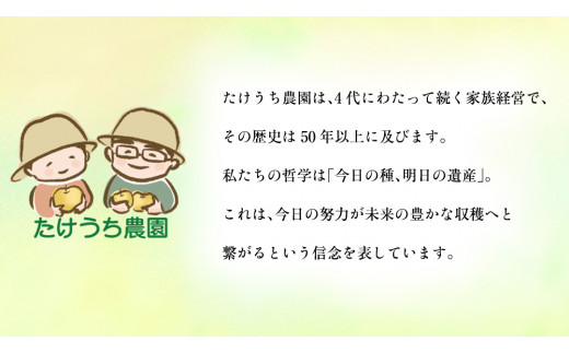 独特の甘さ ジューシーな食感 「 新高 」 3kg 梨 減農薬 果物 フルーツ なし ナシ 和梨 [DC013ci]