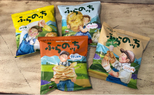 【3ヵ月に1回お届け】JAふらの ポテトチップス 【ふらのっち】うすしお＆ガーリック各12袋 計24袋 ふらの農業協同組合(南富良野町) 芋 菓子 スナック じゃがいも お菓子 ポテチ 定期便