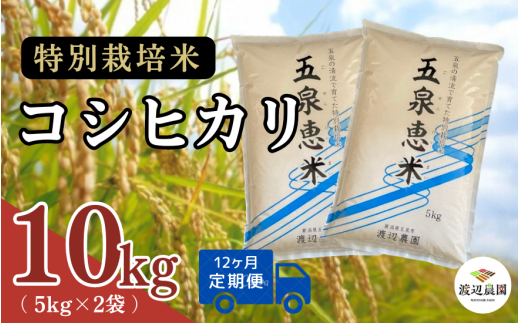 【令和6年産新米】 〈12回定期便〉渡辺農園の特別栽培米コシヒカリ 10kg(5kg×2袋) 新潟県 五泉市 渡辺農園 [9月下旬以降順次発送]