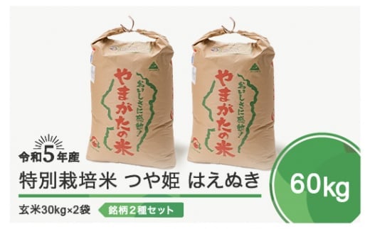 令和6年6月下旬発送 つや姫 はえぬき 各30kg 計60kg 玄米  令和5年産