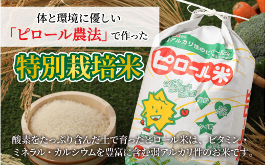 【令和6年産 新米】こだわりの米！弱アルカリ性のピロール米 こしひかり 玄米 5kg [A-009002]