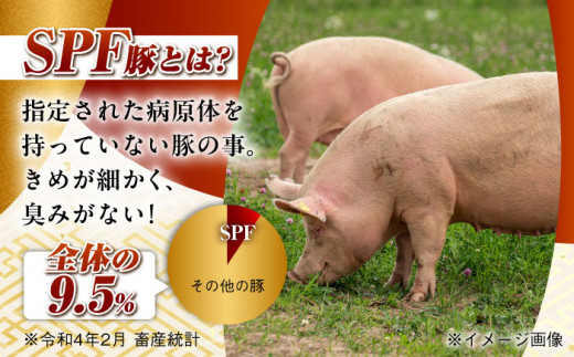 【月1回約1.3kg×6回定期便】大西海SPF豚 肩ロース（焼肉用）計7.8kg 長崎県/長崎県農協直販 [42ZZAA058]