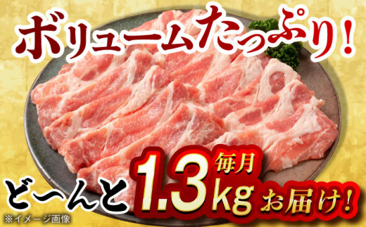 【月1回約1.3kg×6回定期便】大西海SPF豚 肩ロース（焼肉用）計7.8kg 長崎県/長崎県農協直販 [42ZZAA058]