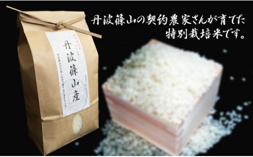 令和6年産新米　特A ランク米【特別栽培米】丹波篠山産コシヒカリ  2kg